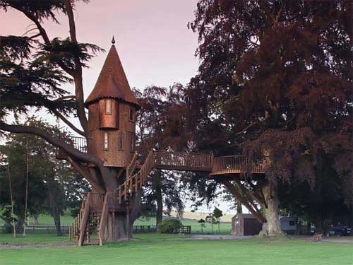 treehouse