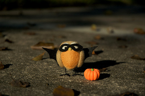Needle Felted Bird Batman