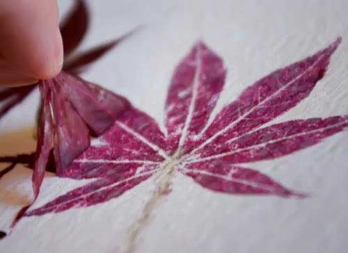 Projects: Hammered Flower + Leaf Prints