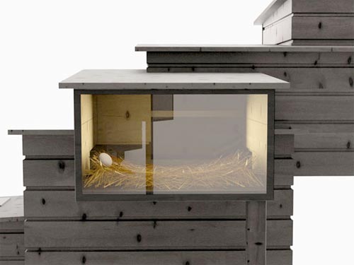 BREED_RETREAT_2 breed retreat chicken coop