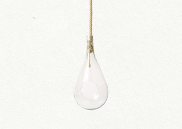 Hanging Drop Terrarium