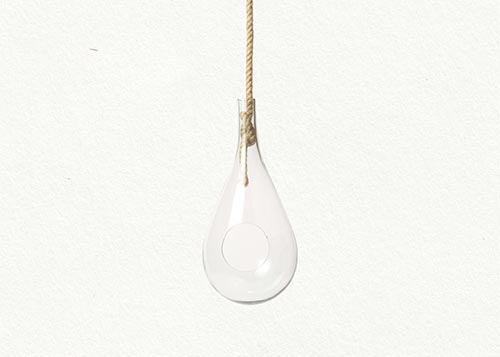 Hanging Drop Terrarium