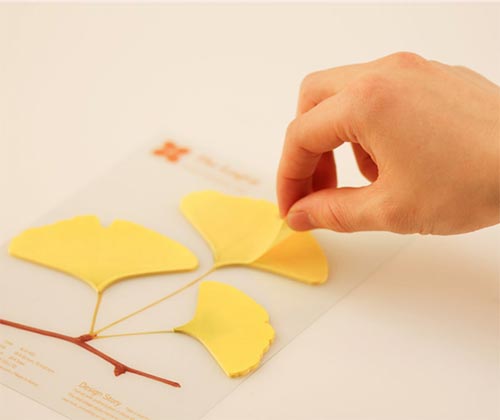 leaf-it ginko