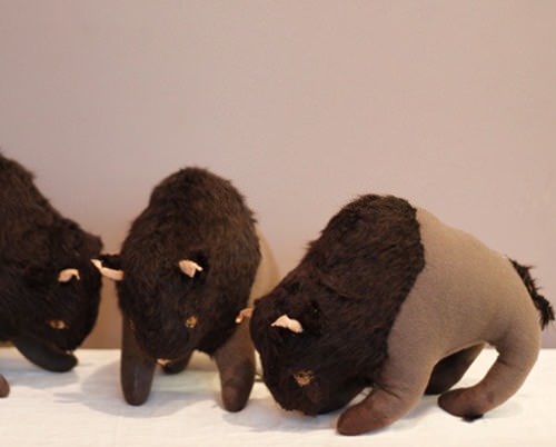 Buffalo by Tamar Mogendorff