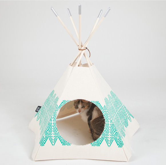 Cat Tipis