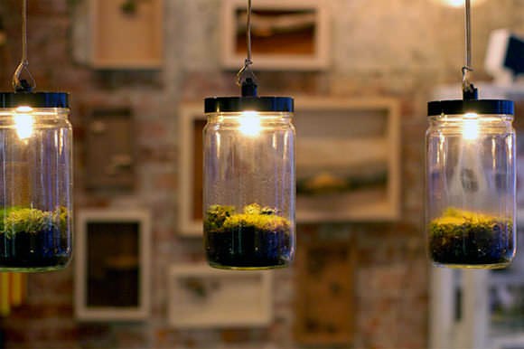 DIY Terrariums by Autumn Workshop