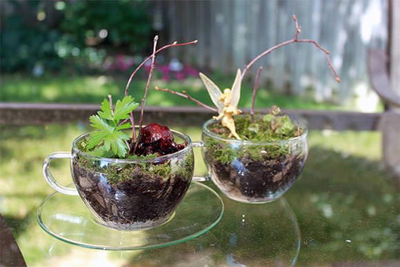 DIY Teacup Terrarium via College Life DIY