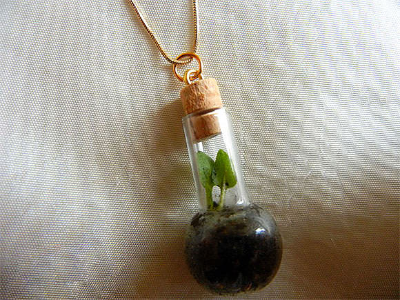 DIY Terrarium Necklace via Ecouterre