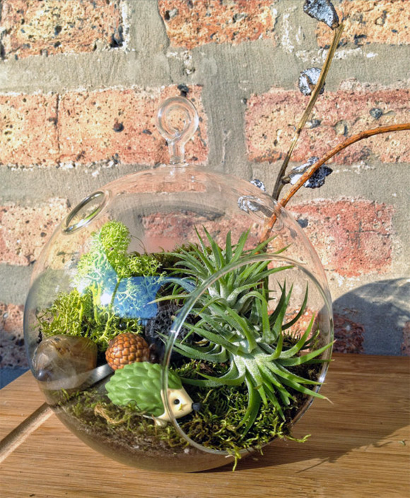 DIY Children's Hedgehog & Air Plant Terrarium Kit via Lovely Terrariums on Etsy