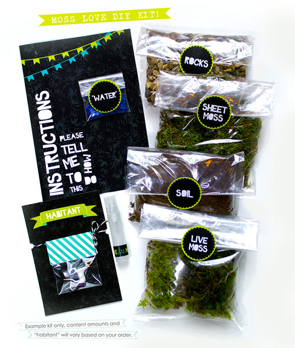 DIY Moss Terrarium Kit via Moss Love Terrariums on Etsy