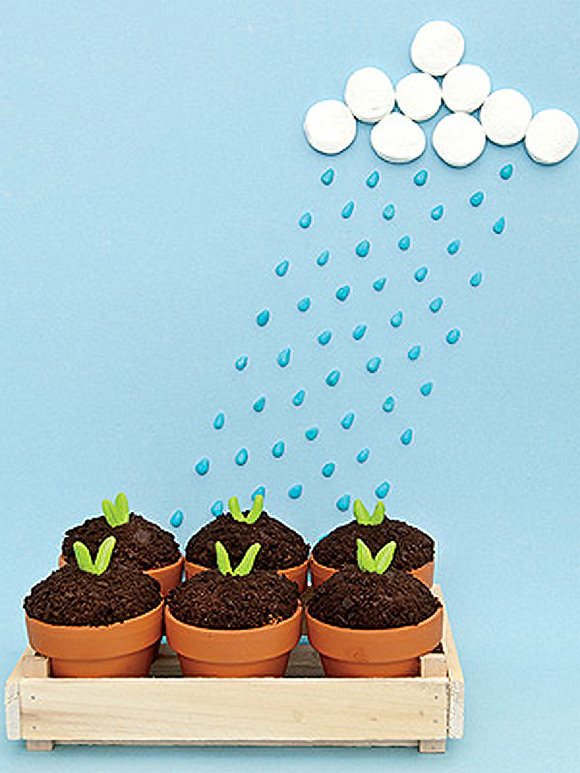 Sweet Seedlings via FamilyFun Magazine