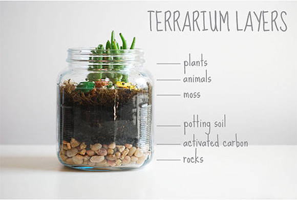 DIY Kid-Friendly Terrarium