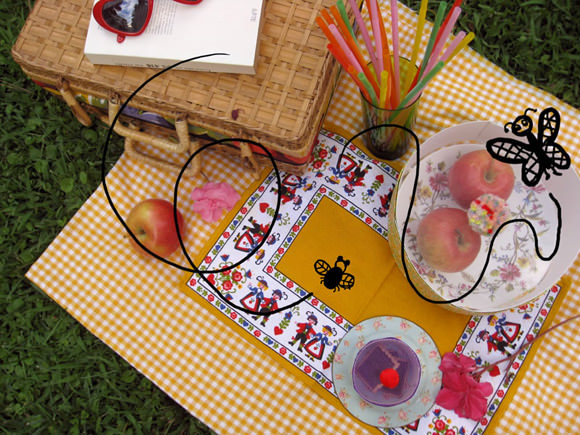 DIY Picnic Food Covers