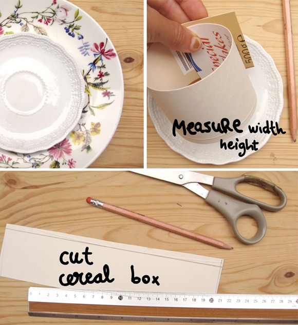 DIY Picnic Food Protectors