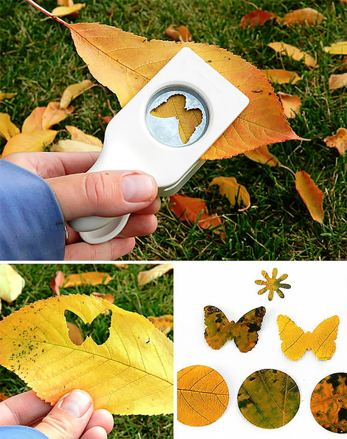 DIY Leaf Confetti