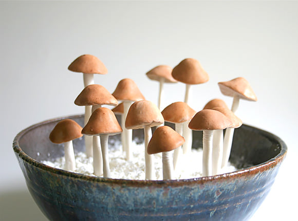 Etsy Finds: Amazing Candy Mushrooms