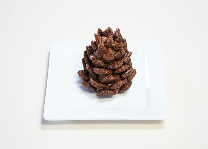 Quick + Easy Snowy Chocolate Pinecones Recipe