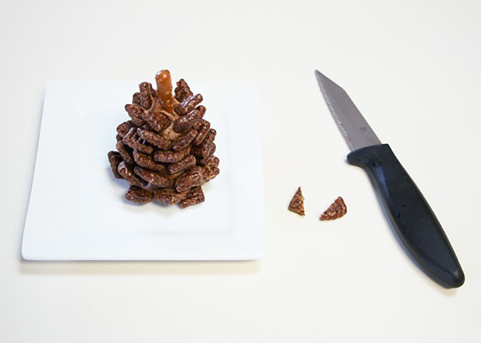 Quick + Easy Snowy Chocolate Pinecones Recipe