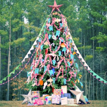 our christmas tree (decorated outside with the kids this year)