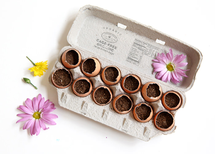 DIY Egg Carton Garden