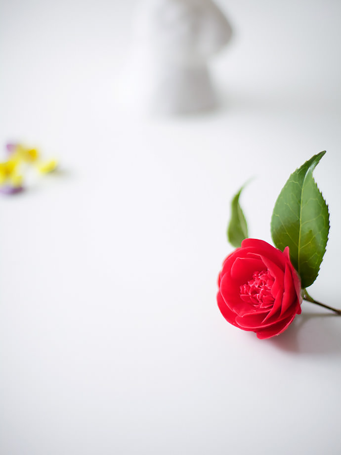 Easy Cake Decorating For Easter - Mini Eggs + Flowers