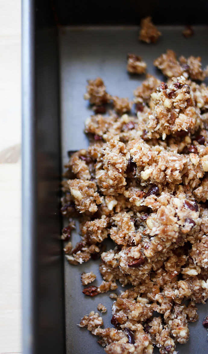 Chocolate Coconut Energy Bars