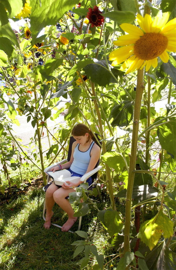 DIY Sunflower House for Kids via Oregon Live