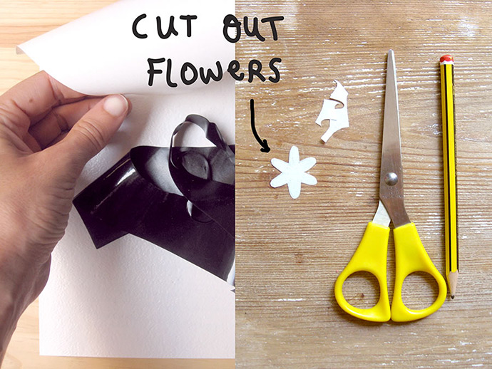 DIY Daisies