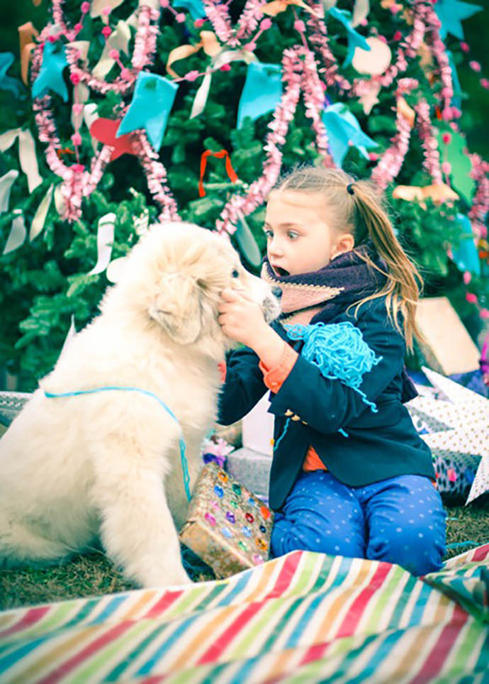 Balsam Hill Trees Decor