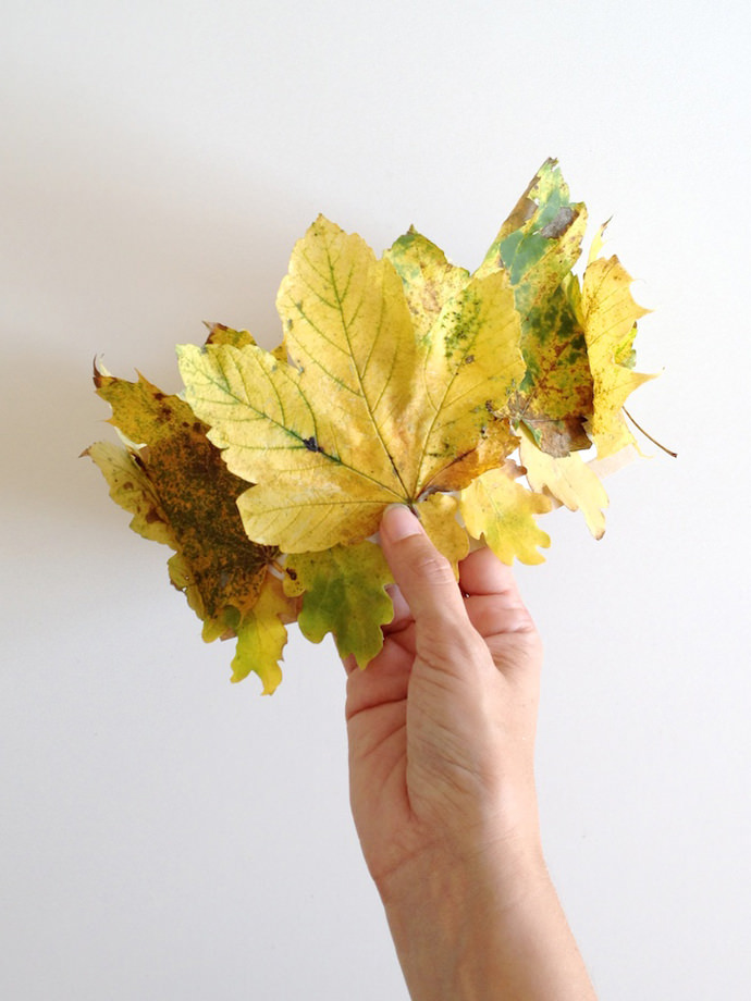 DIY Autumn Leaf Crown for Kids