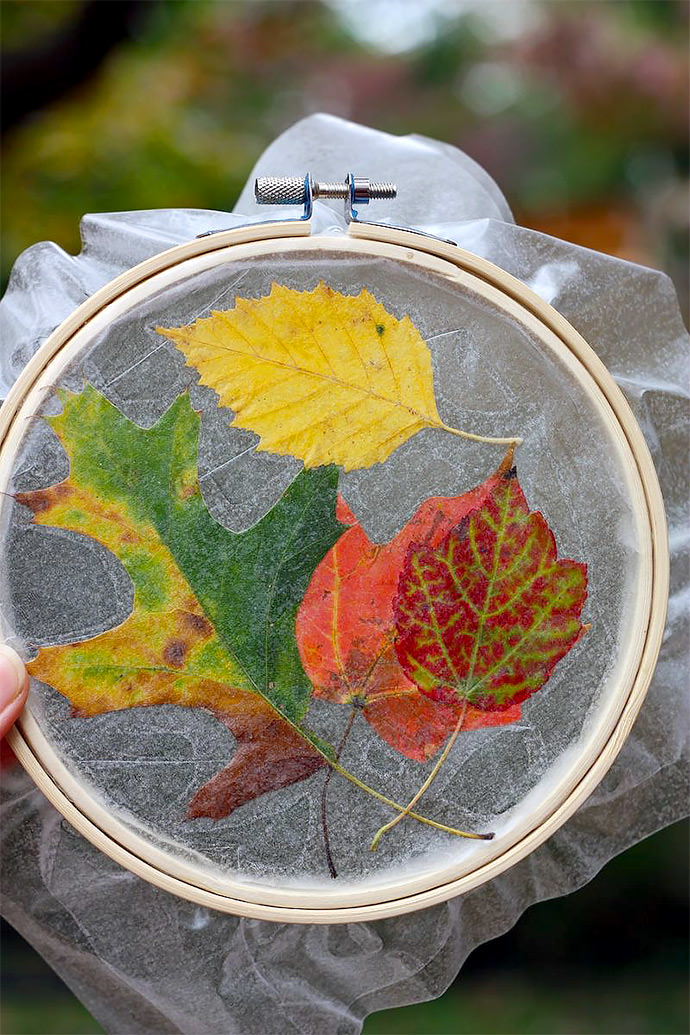 Fall Crafts for Kids: Leaf Suncatcher (via Buzzmills)