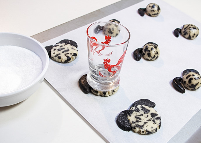 DIY Calico Cat and Dalmatian Cookies