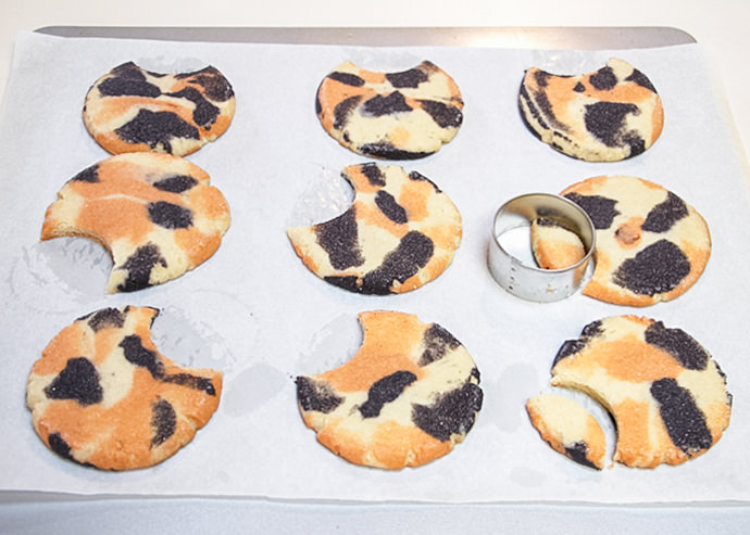 DIY Calico Cat and Dalmatian Cookies