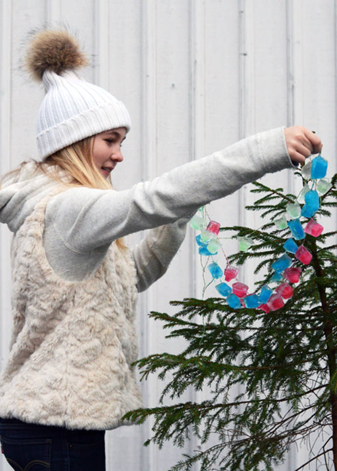 DIY Ice Cube Garland