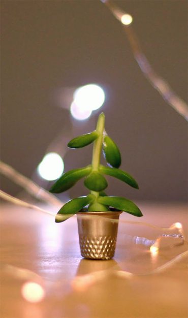 The World's Smallest Christmas Tree—fits inside a thimble! (via estefi machado)