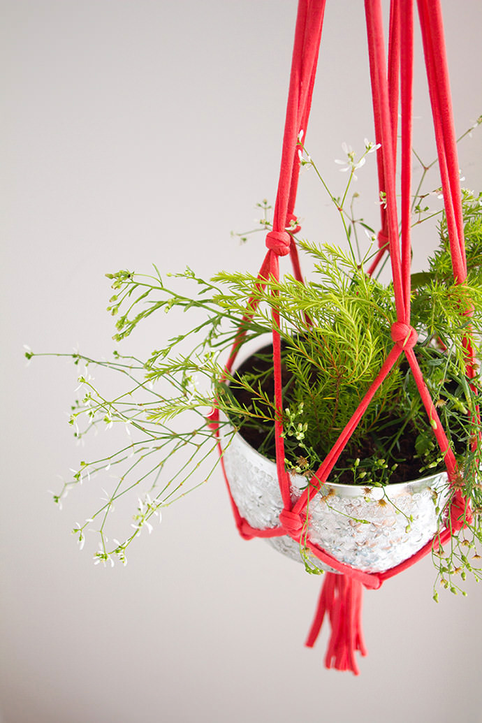 DIY Hanging String Plant Holder