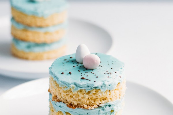 Robin's Egg Blue Mini Cakes