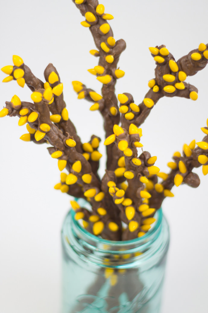 Simple Sweet & Salty Spring Branches