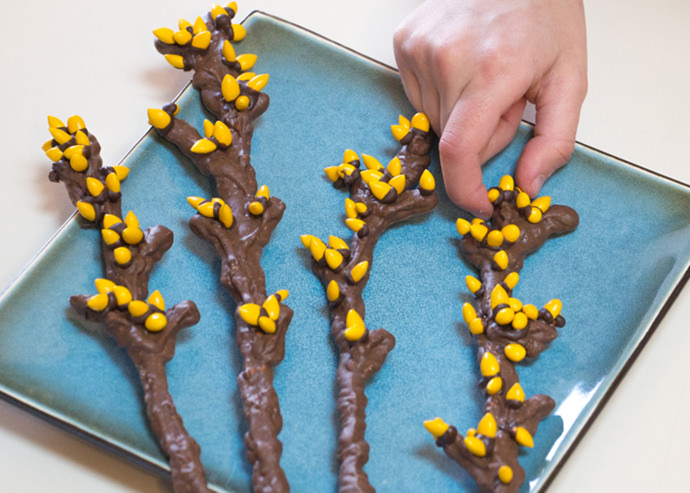 Simple Sweet & Salty Spring Branches Snack 