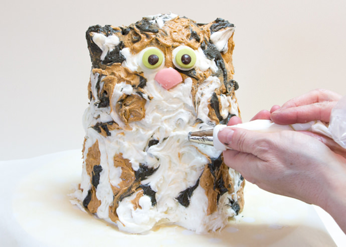 Easy Cat Birthday Cake for Kids 
