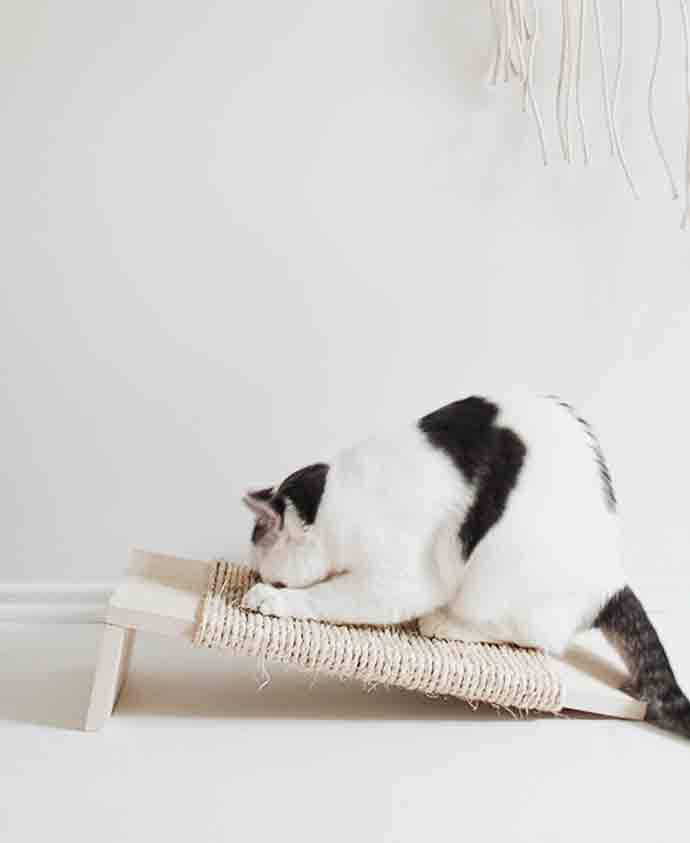 DIY Cat Scratcher