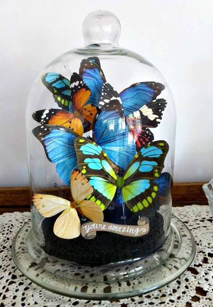 Mari_Butterfly_Jar