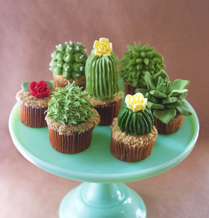 Cactus and Succulent Cupcake Recipe 