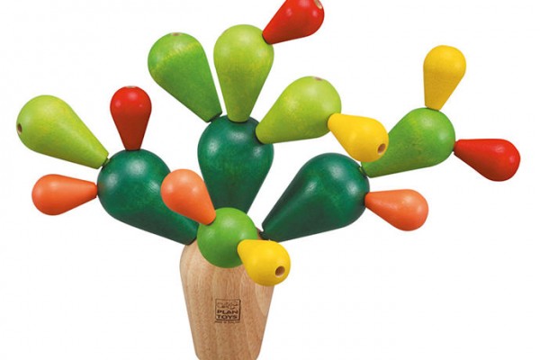 S&S Cactus Building Game