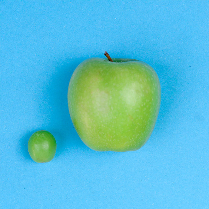 DIY Healthy Turtle Apples