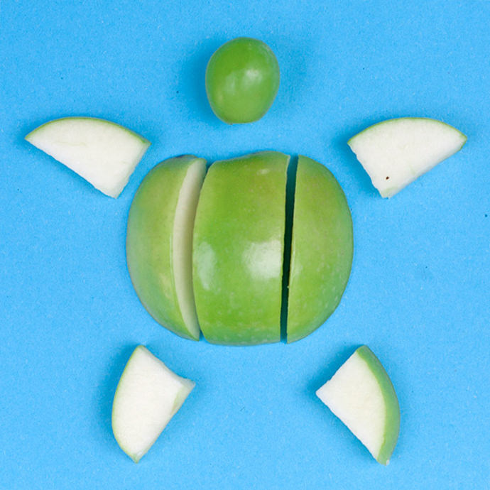 DIY Healthy Turtle Snack Recipe 