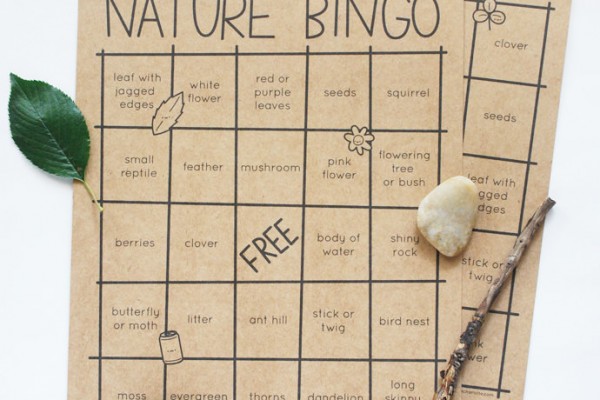 Print & Play Nature Bingo for Cute & Fun Time Outdoors