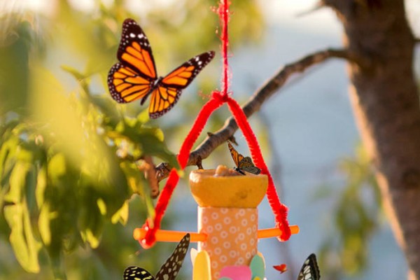 DIY Up-cycled Butterfly Feeder