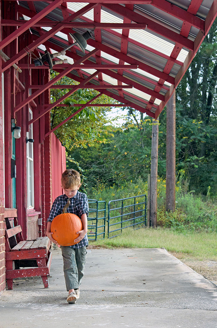 Traveling to the pumpkin patch with my 5-year-old