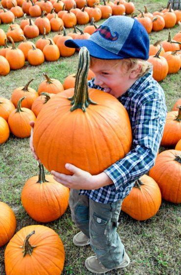 A five-year-old's guide to the perfect pumpkin patch trip